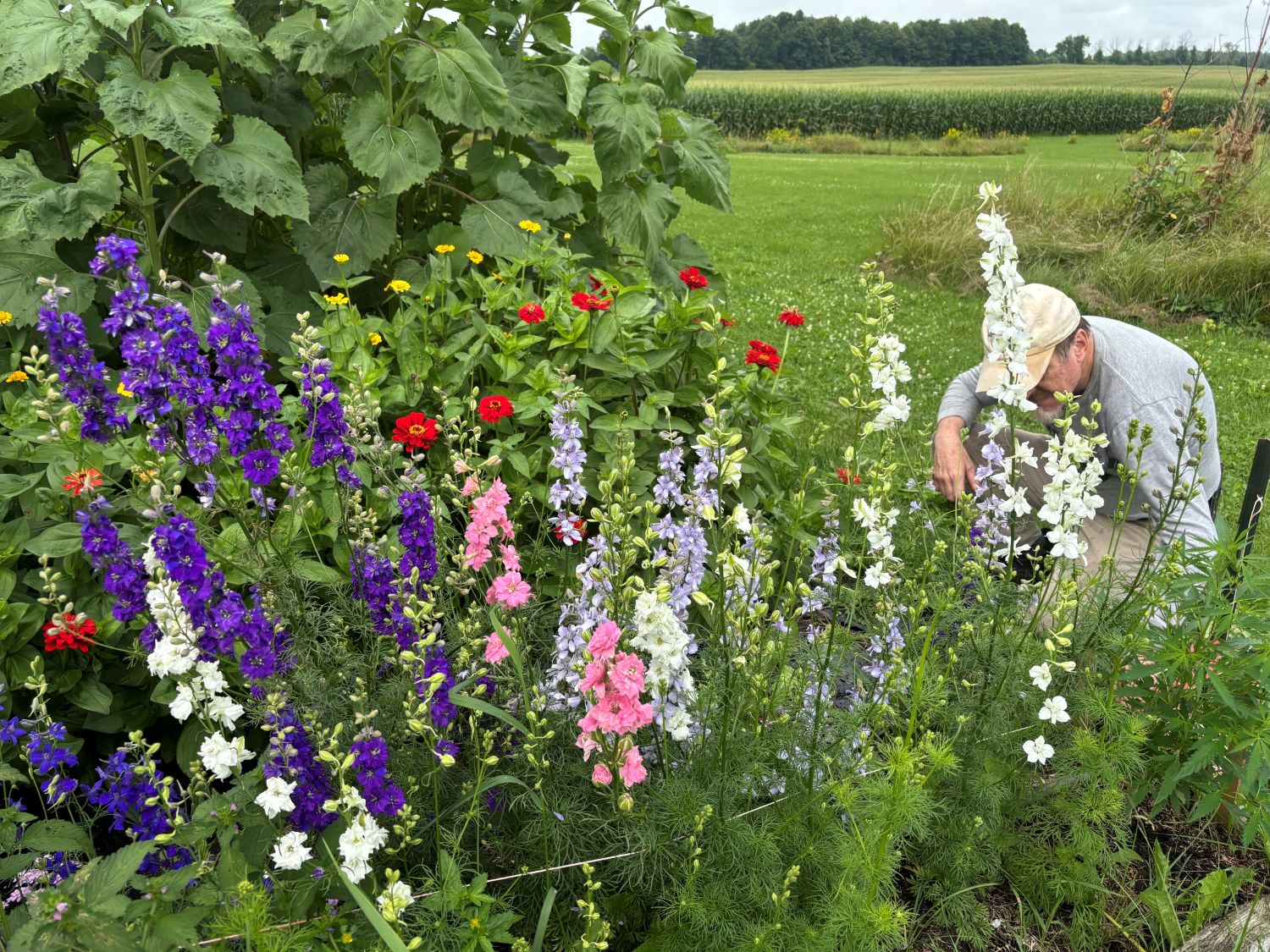 flowers with sean crowston